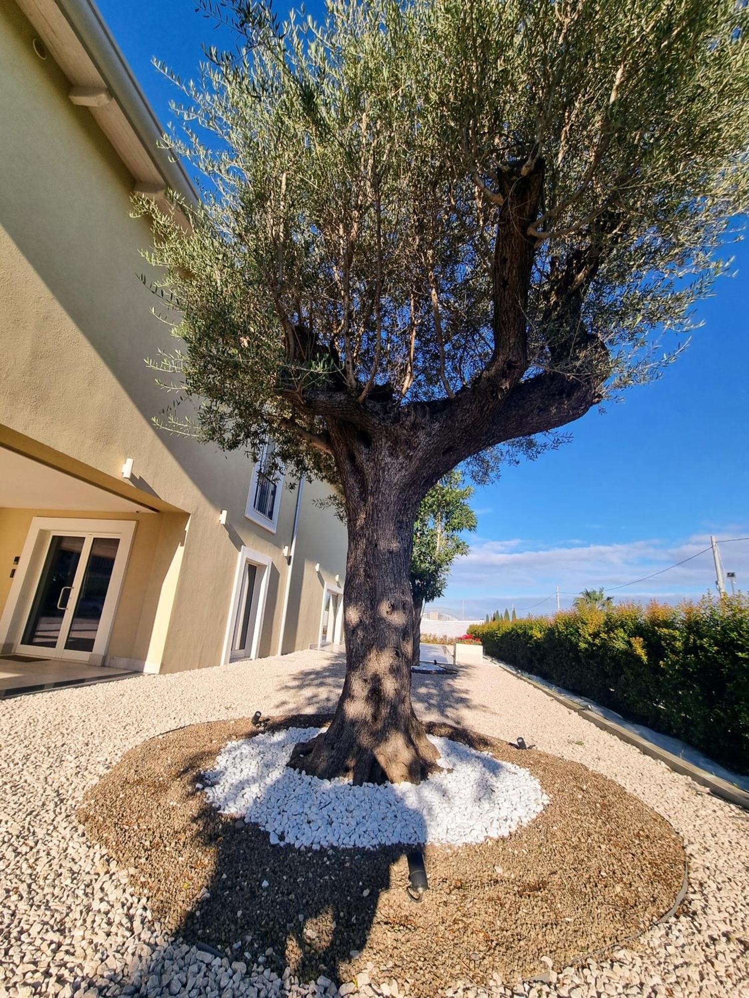 Ro Agrimaison Volla  Dış mekan fotoğraf