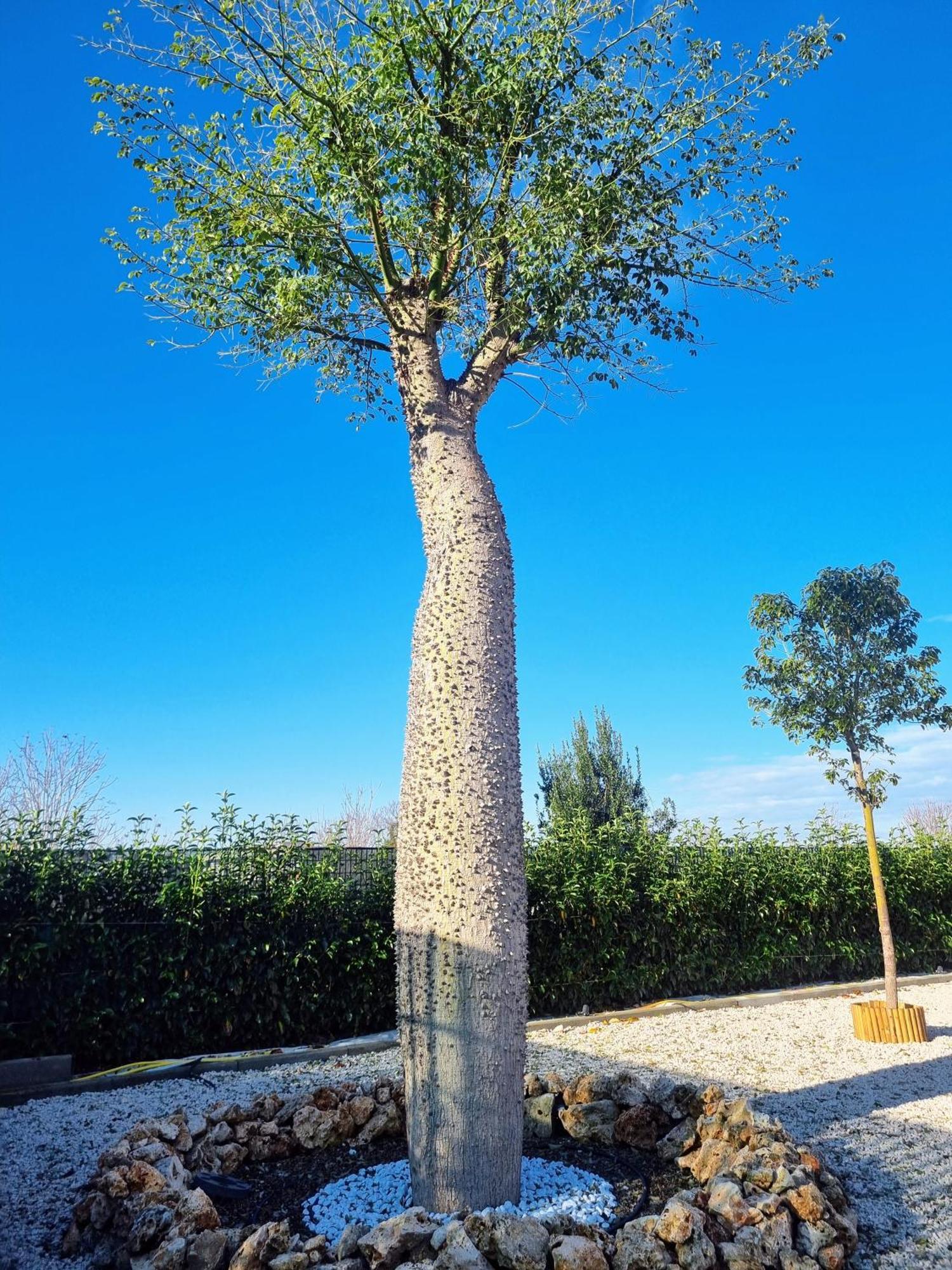Ro Agrimaison Volla  Dış mekan fotoğraf